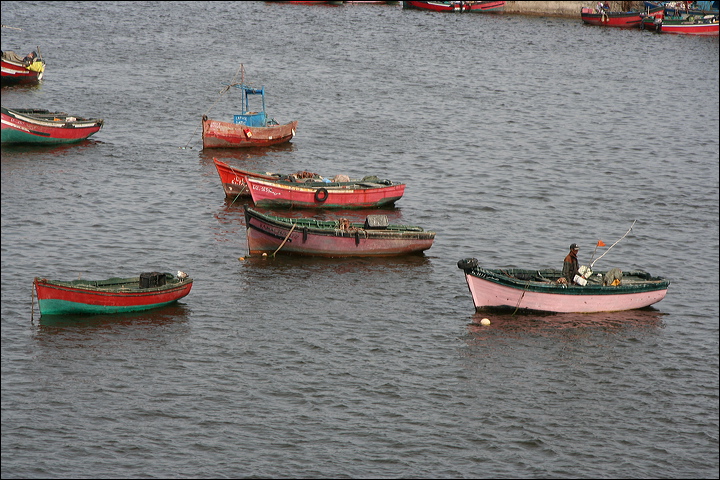 0382-el-jadida.jpg