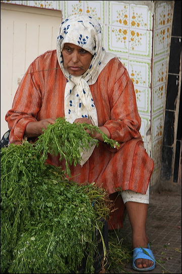 0409-el-jadida.jpg