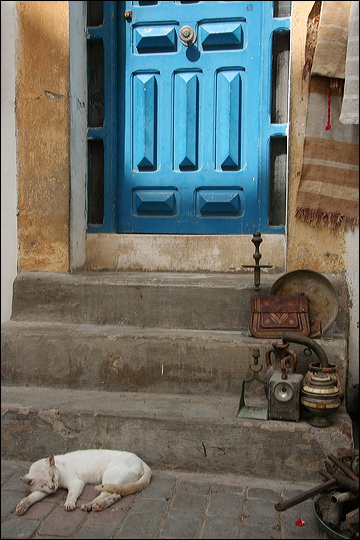 0169-essaouira.jpg