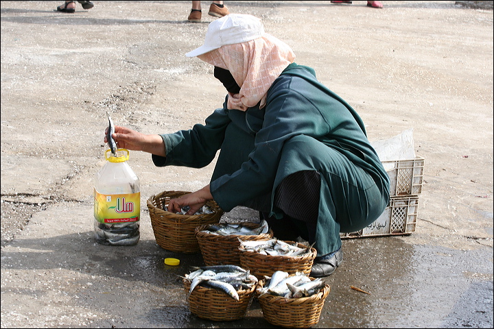 0225-essaouira.jpg