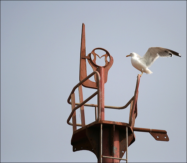 0236-essaouira.jpg