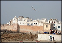 0212-essaouira