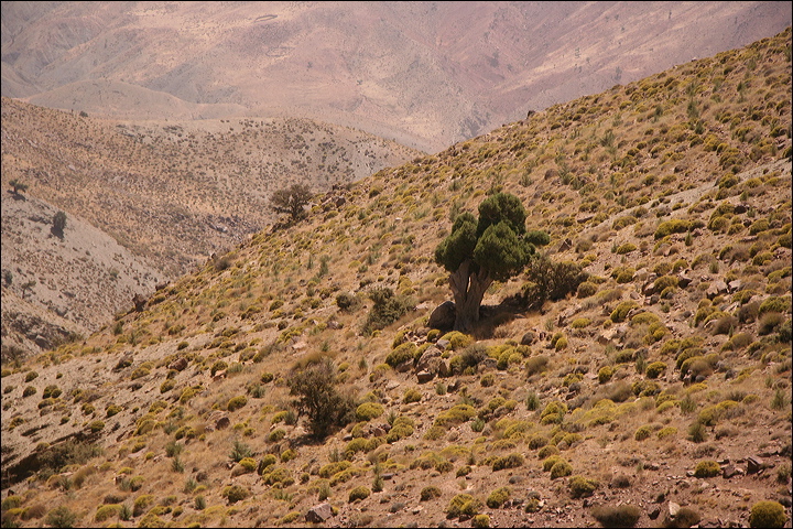 1904-atlante_verso_marrakech.jpg