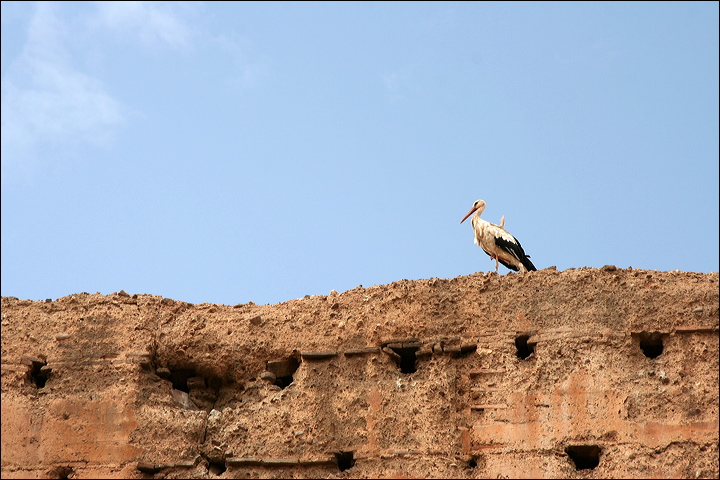 2253-marrakech-palais_el-badi.jpg