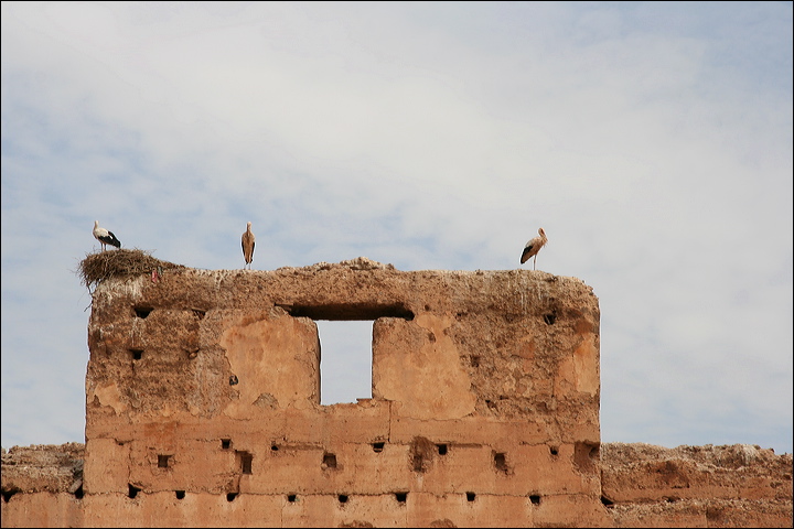 2256-marrakech-palais_el-badi.jpg