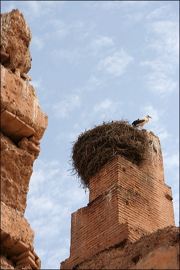 2279-marrakech-palais_el-badi.jpg