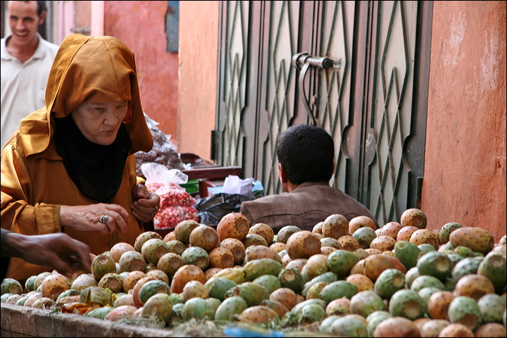 2334-marrakech.jpg