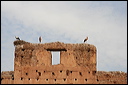 2256-marrakech-palais_el-badi