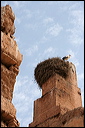 2279-marrakech-palais_el-badi