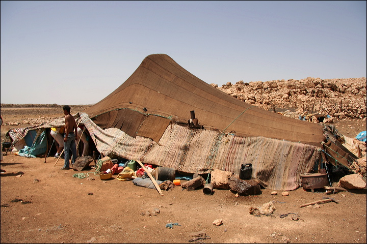 1244-tenda_berbera.jpg