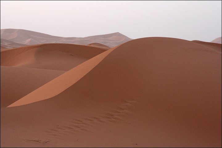 1369-_dune_di_merzouga.jpg