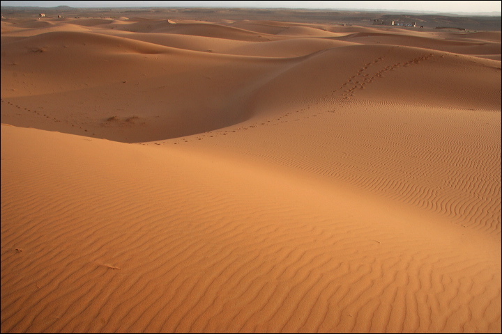 1388-_dune_di_merzouga.jpg