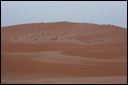 1357-_dune_di_merzouga