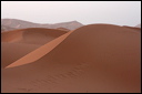 1369-_dune_di_merzouga