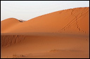 1386-_dune_di_merzouga