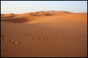 1389-_dune_di_merzouga