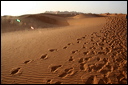 1391-_dune_di_merzouga