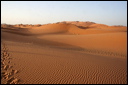 1392-_dune_di_merzouga