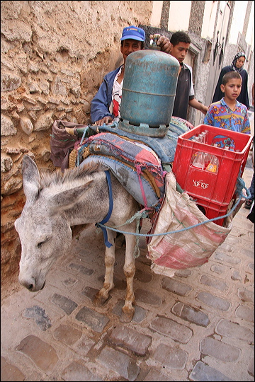 0885-moulay_idriss.jpg