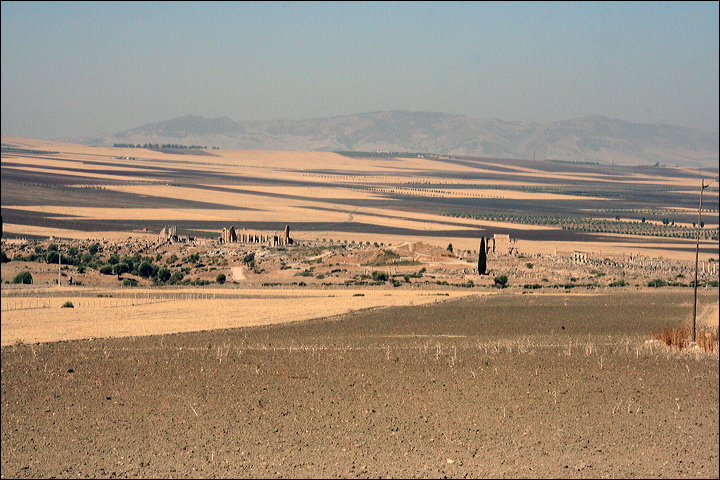 0809-volubilis.jpg