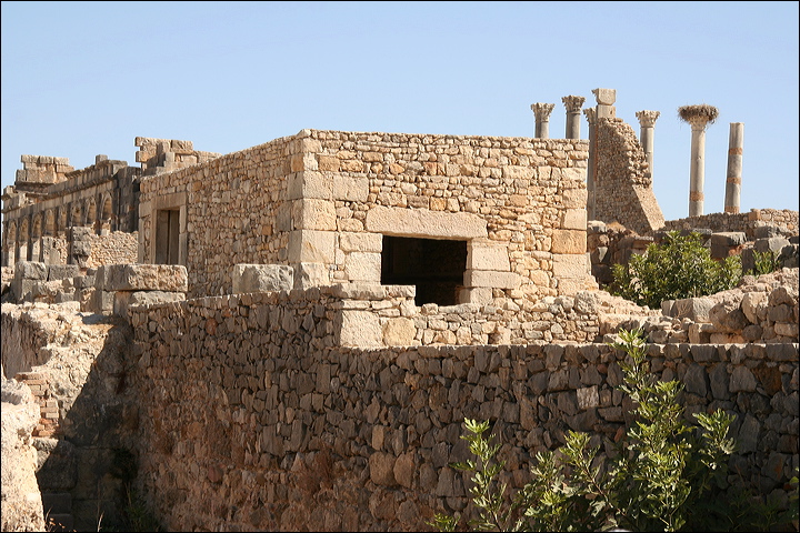 0818-volubilis.jpg