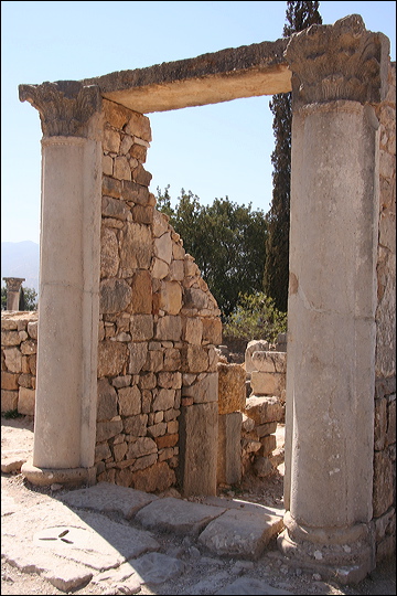 0819-volubilis.jpg