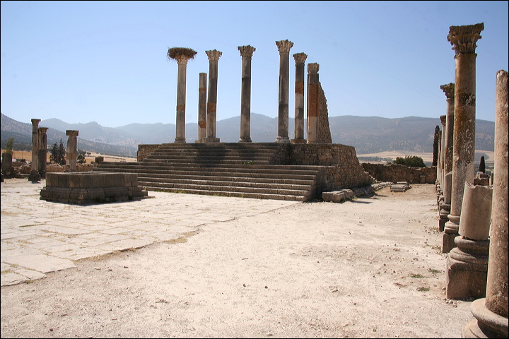 0829-volubilis.jpg