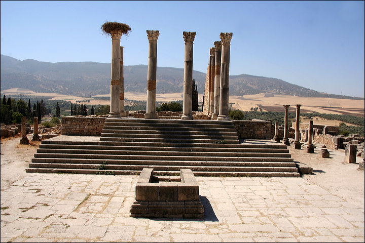 0832-volubilis.jpg