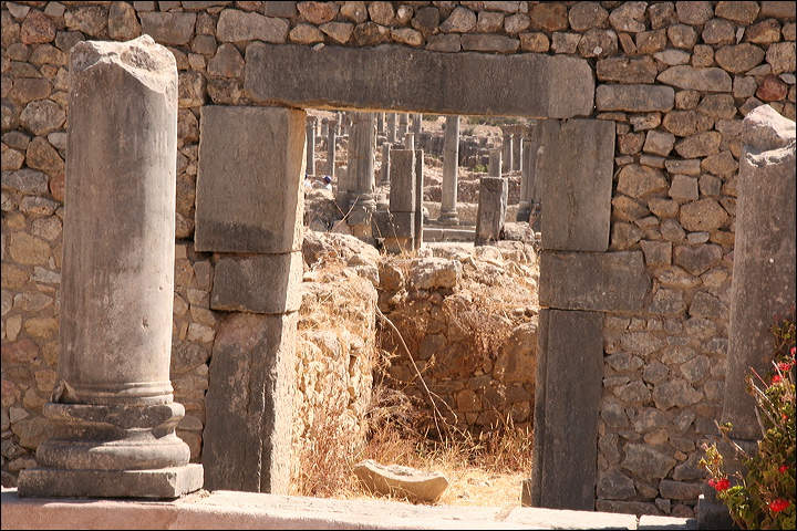 0853-volubilis.jpg