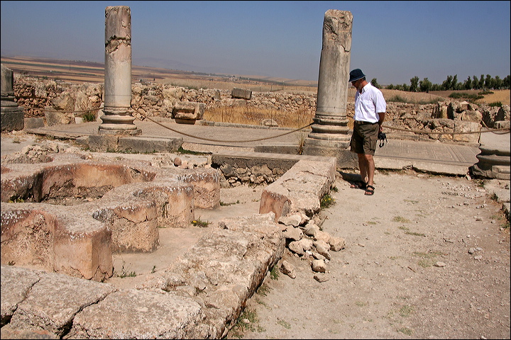 0858-volubilis.jpg