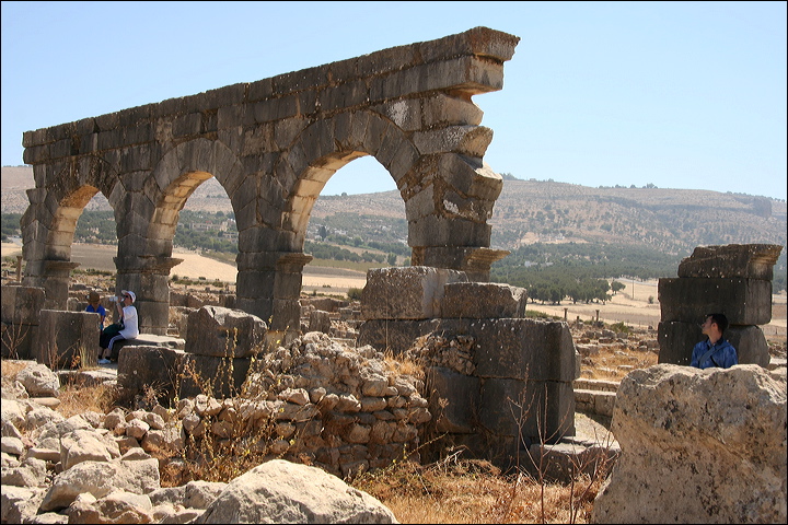 0863-volubilis.jpg