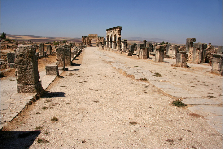 0868-volubilis.jpg