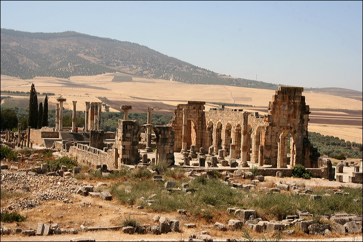 0874-volubilis.jpg