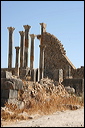 0822-volubilis