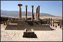 0832-volubilis