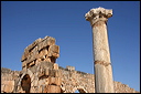 0837-volubilis