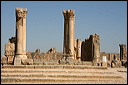 0840-volubilis