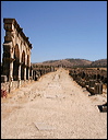 0864-volubilis